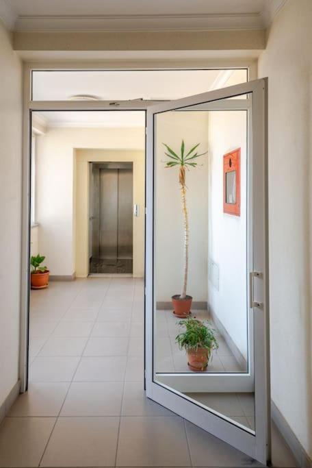 Remedios Apartment Lamego Exteriér fotografie